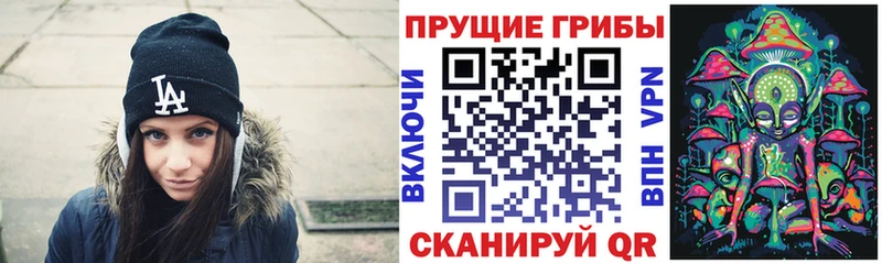 Купить закладки  Яранск  Псилоцибиновые грибы Psilocybine cubensis 